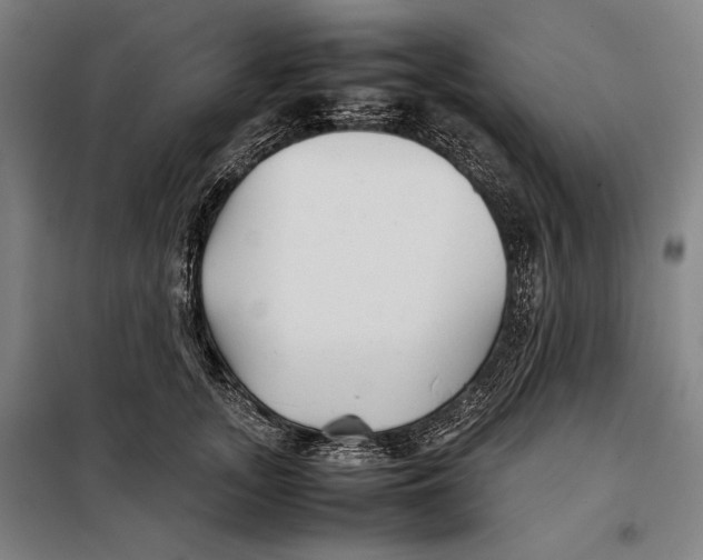 X0000097900755200804041437