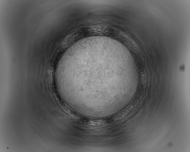 X0000097900757200804041437