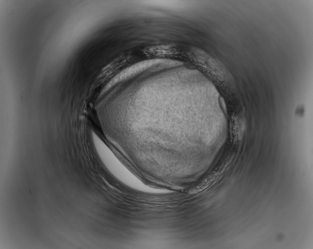 X0000097900760200804041437