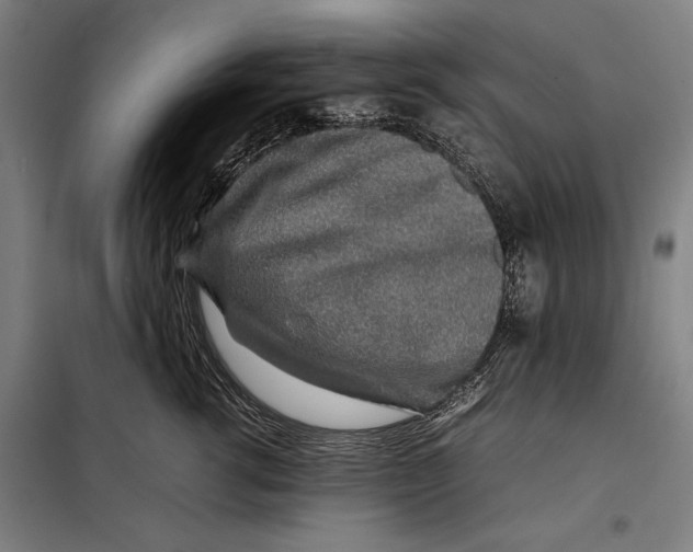 X0000097900762200804041437