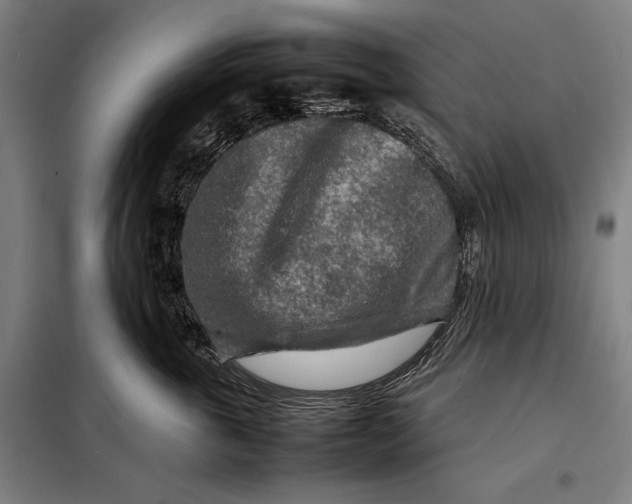 X0000097900763200804041437