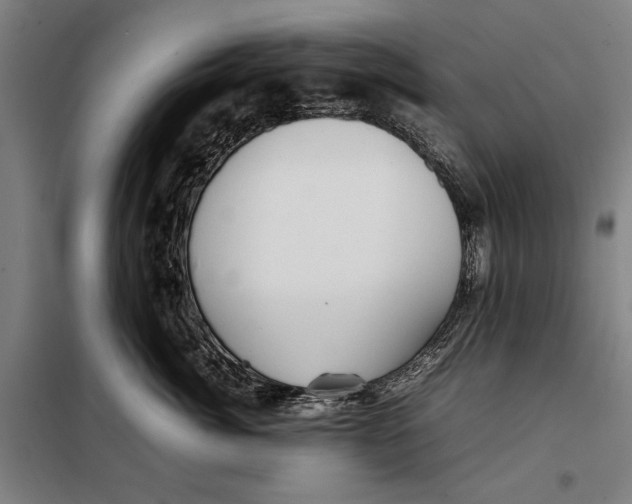 X0000097900764200804041437