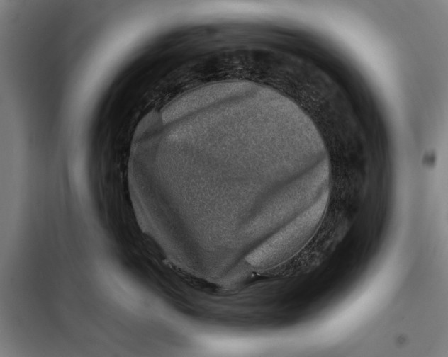 X0000097900766200804041437