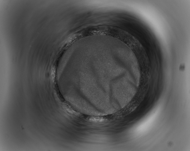 X0000097900767200804041437