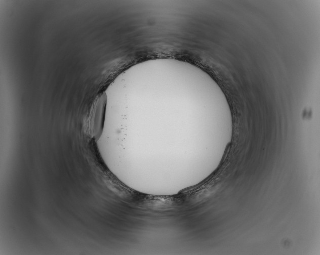 X0000097900768200804041437