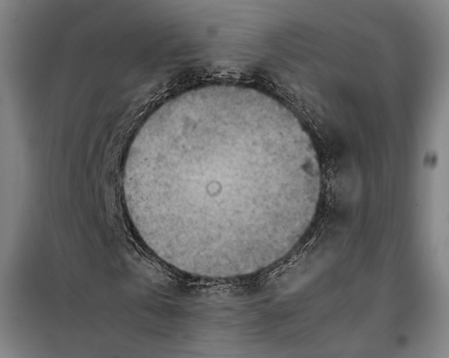 X0000097900769200804041436