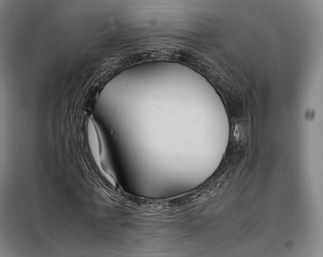 X0000097900771200804041436