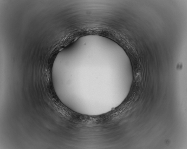 X0000097900772200804041436