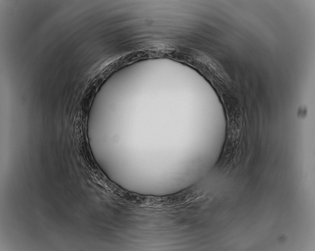 X0000097900773200804041436