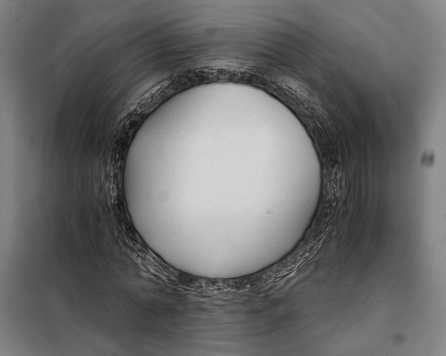 X0000097900774200804041436