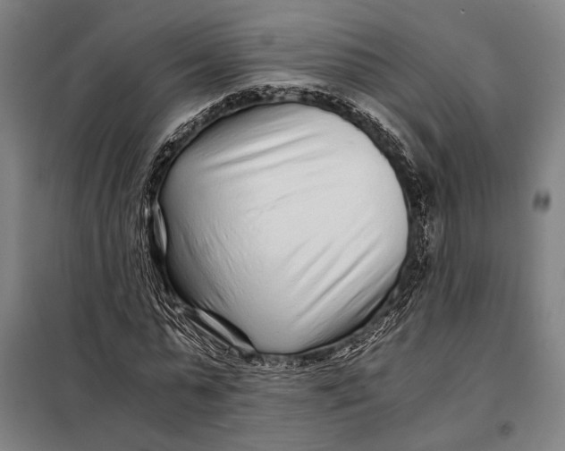 X0000097900775200804041436