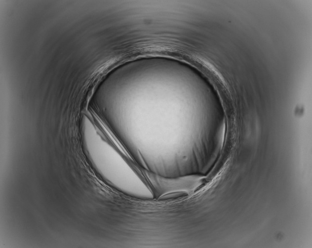 X0000097900777200804041436