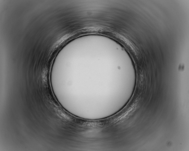 X0000097900778200804041436