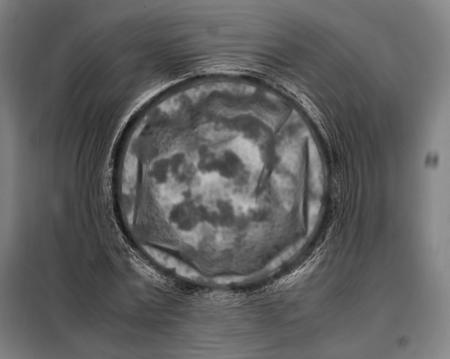 X0000097900779200804041436