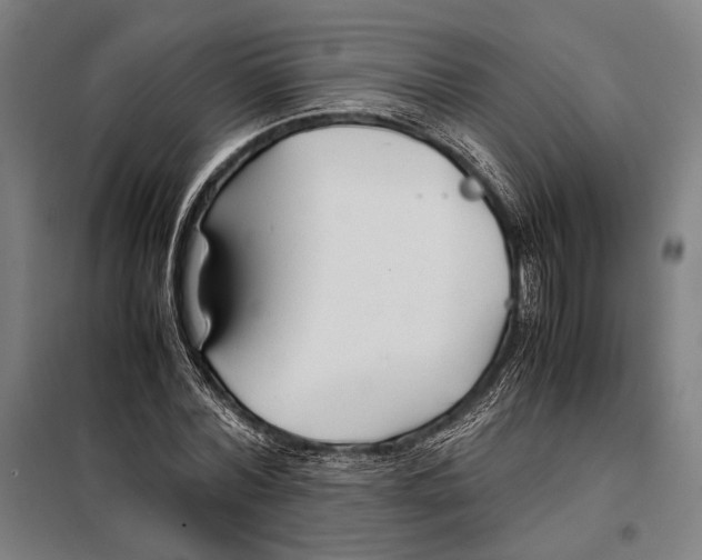 X0000097900780200804041436