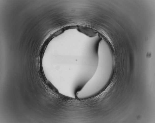 X0000097900781200804041436