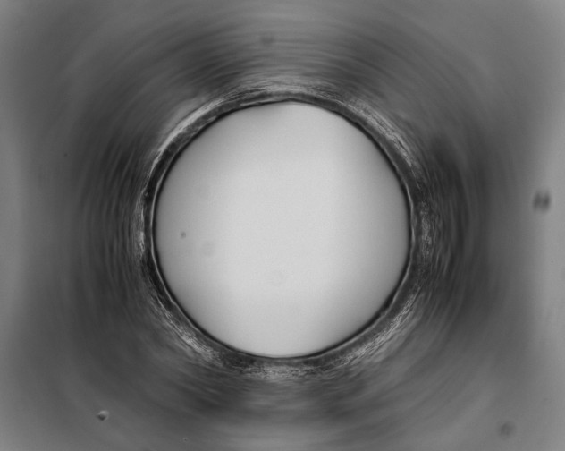 X0000097900782200804041436