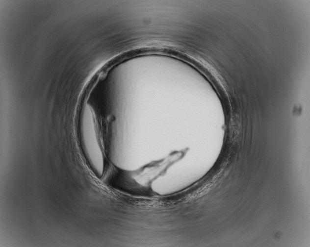 X0000097900783200804041436