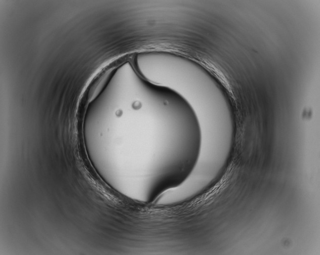 X0000097900784200804041436