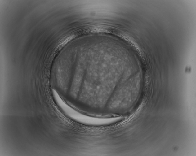 X0000097900785200804041436