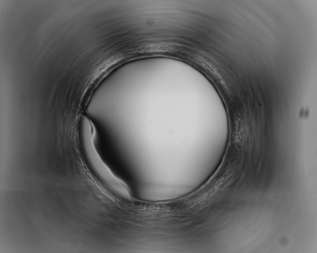 X0000097900786200804041436