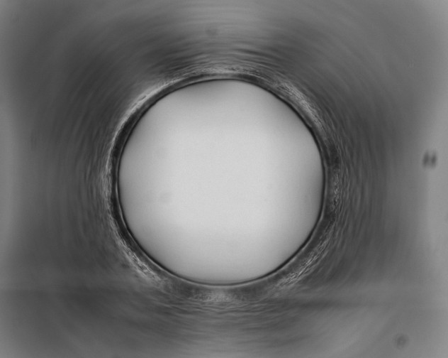 X0000097900787200804041436