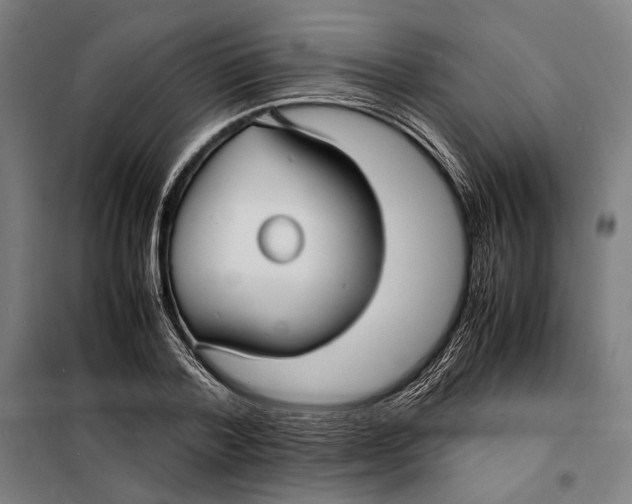 X0000097900788200804041436