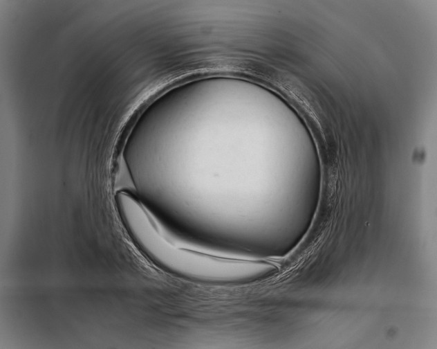 X0000097900789200804041436