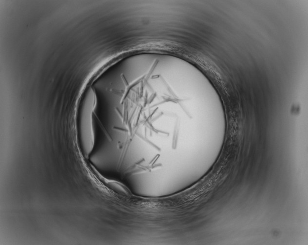 X0000097900792200804041436