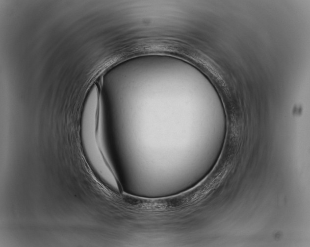 X0000097900793200804041436