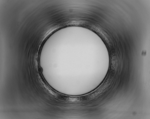 X0000097900794200804041436