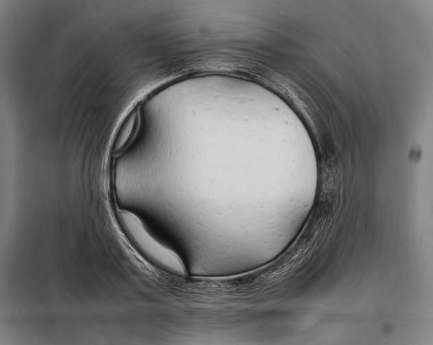 X0000097900795200804041436