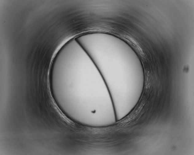 X0000097900796200804041436