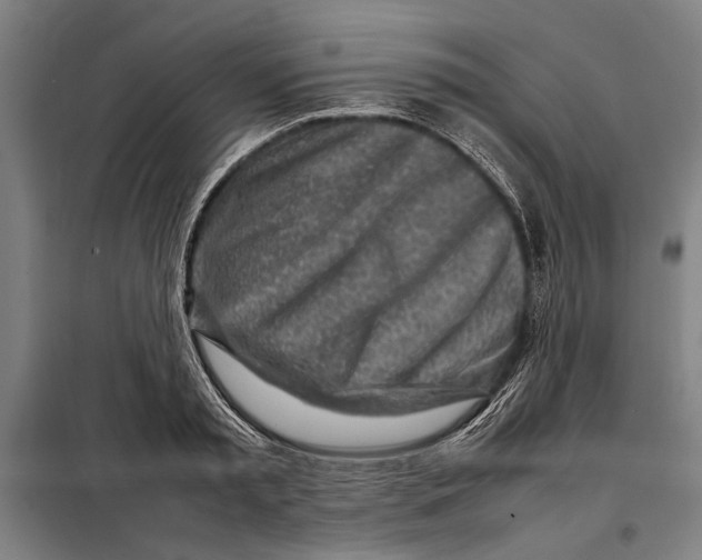 X0000097900797200804041436