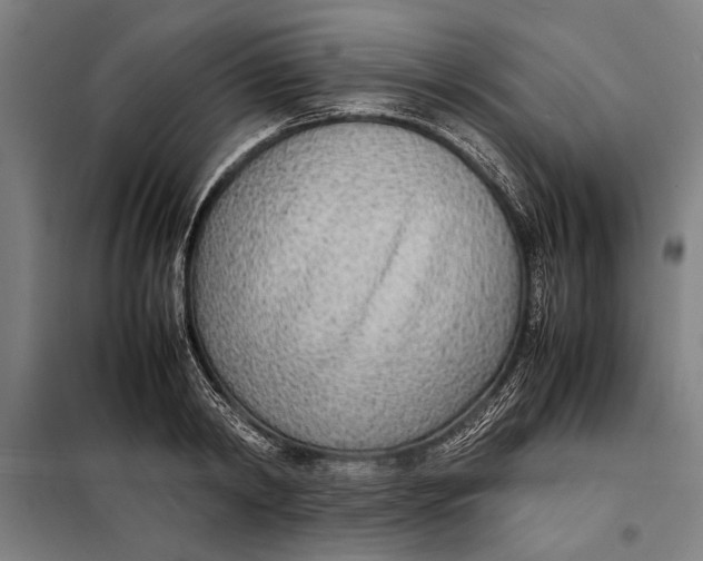 X0000097900798200804041436