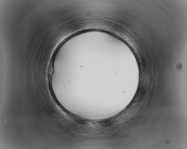 X0000097900799200804041436