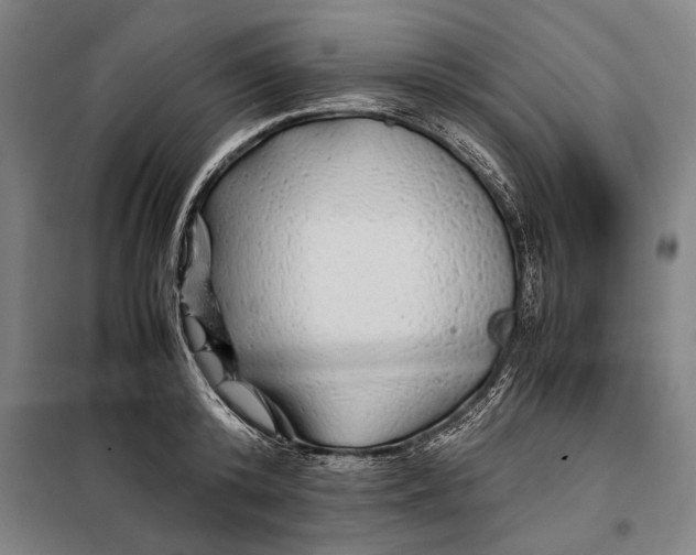 X0000097900800200804041436