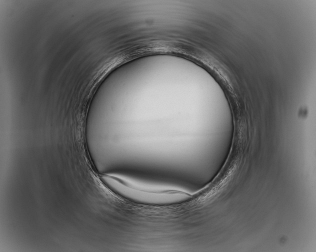 X0000097900801200804041436