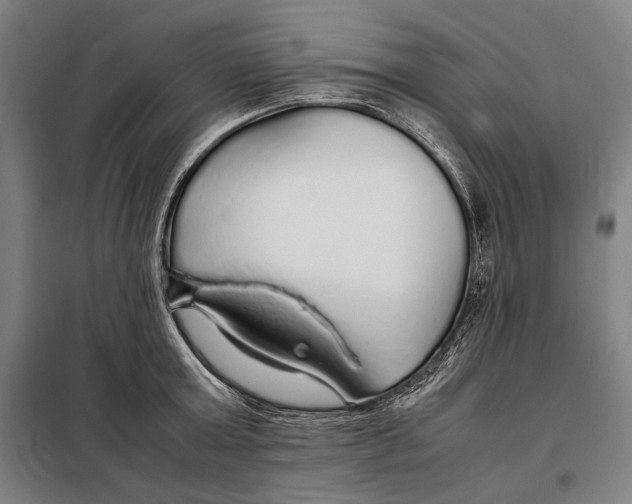 X0000097900803200804041436