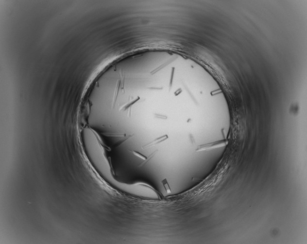 X0000097900804200804041436