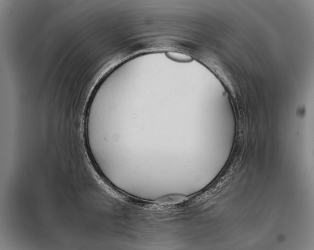 X0000097900805200804041436