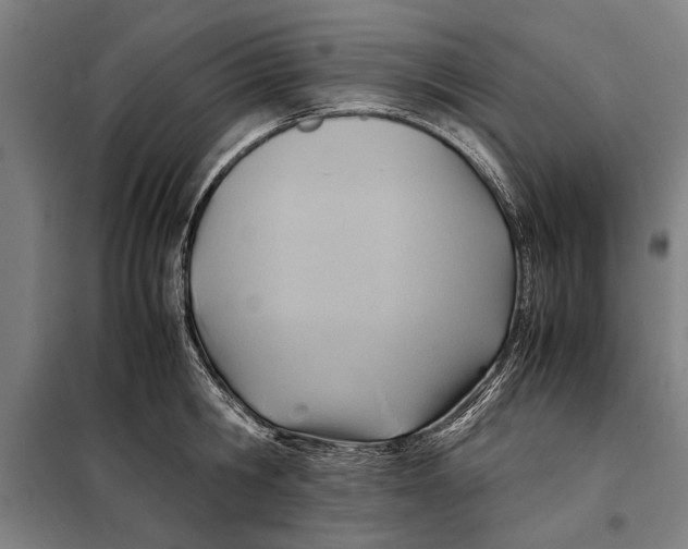 X0000097900806200804041436