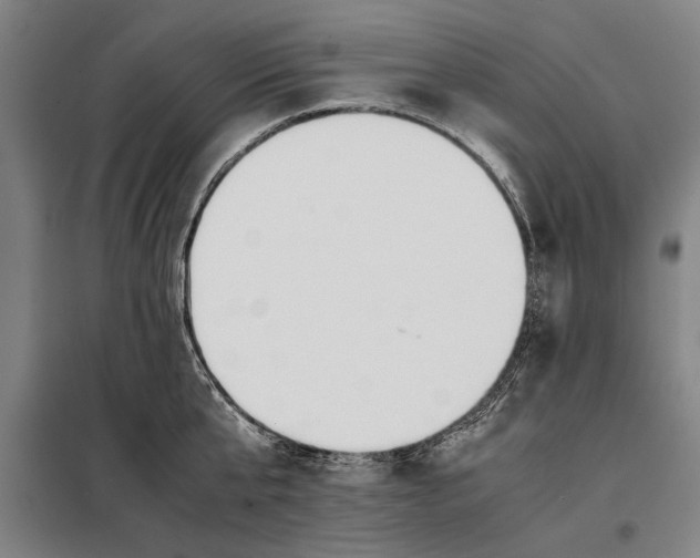 X0000097900807200804041436