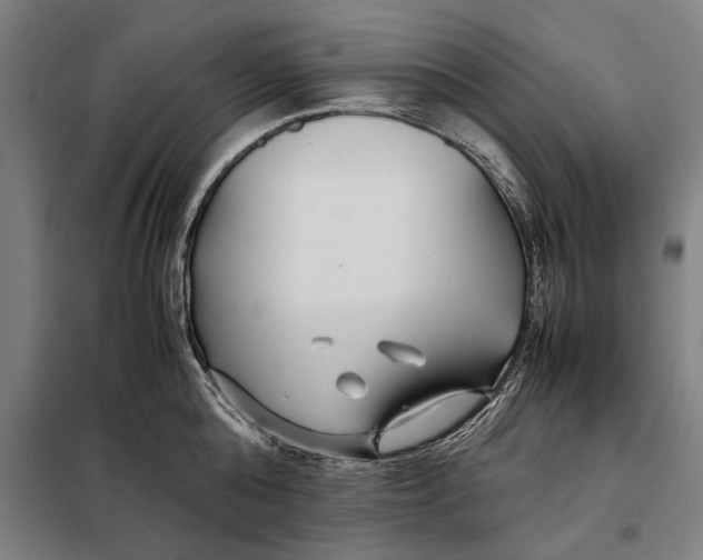 X0000097900808200804041436