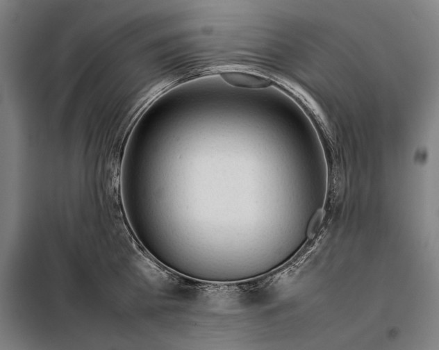 X0000097900809200804041436