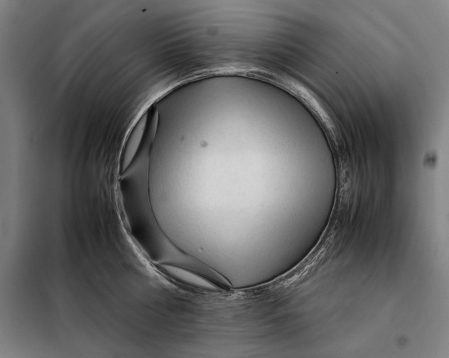 X0000097900810200804041436