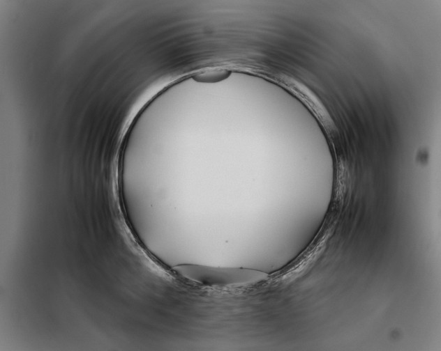 X0000097900812200804041436