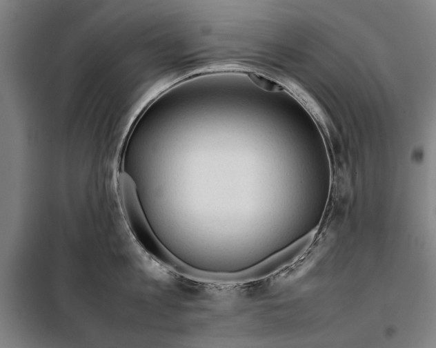 X0000097900813200804041436