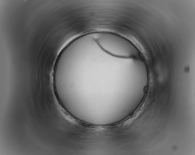 X0000097900814200804041436