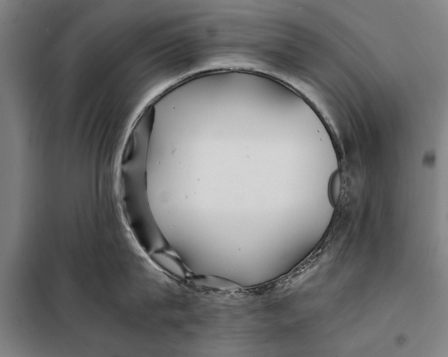 X0000097900815200804041436